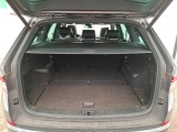  Skoda  Kodiaq  L&K 2.0 TDI 150CV BVA7 E6d #10