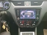  Skoda  Octavia  Combi Business 1.6 TDI 115CV BVM5 E6dT #7