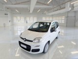  Fiat  Panda FIAT  / 2011 / 5P / BERLINA 1.2 69CV E6 EASY 
