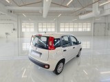  Fiat  Panda FIAT  / 2011 / 5P / BERLINA 1.2 69CV E6 EASY #2