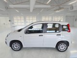  Fiat  Panda FIAT  / 2011 / 5P / BERLINA 1.2 69CV E6 EASY #8