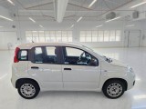  Fiat  Panda FIAT  / 2011 / 5P / BERLINA 1.2 69CV E6 EASY #7