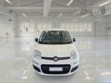  Fiat  Panda FIAT  / 2011 / 5P / BERLINA 1.2 69CV E6 EASY #6