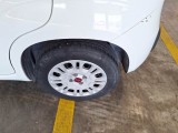  Fiat  Panda FIAT  / 2011 / 5P / BERLINA 1.2 69CV E6 EASY #49