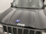  Jeep  Renegade JEEP  - 2019 1.0 T3 120 Limited 5d #17