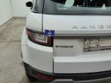  Land Rover  Range Rover Evoque Land Rover  TD4 110kW Pure 4WD Auto 5d #36