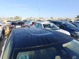  Citroen  C3  Feel Pack 1.5 BlueHDi 100CV MT6 E6d #14