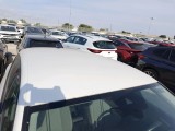  Seat  Leon  Style Go 2.0 TDI 115CV MT6 E6d #15