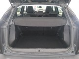  Peugeot  2008  Active Business 1.5 HDi 110CV BVM6 E6d #8