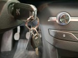  Peugeot  308  Active Business 1.5 HDi 130CV BVM6 E6d #12