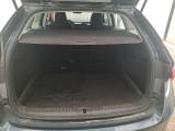  Skoda  Octavia  Combi Business 2.0 TDI 115CV BVM6 E6dT #10