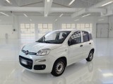  Fiat  Panda FIAT  / 2012 / 5P / BERLINA 1.3 MJT 80 CV EURO6 VAN SeS 2 POSTI POP 