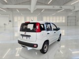  Fiat  Panda FIAT  / 2012 / 5P / BERLINA 1.3 MJT 80 CV EURO6 VAN SeS 2 POSTI POP #2