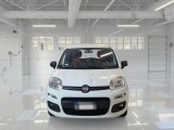  Fiat  Panda FIAT  / 2012 / 5P / BERLINA 1.3 MJT 80 CV EURO6 VAN SeS 2 POSTI POP #6