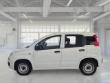  Fiat  Panda FIAT  / 2012 / 5P / BERLINA 1.3 MJT 80 CV EURO6 VAN SeS 2 POSTI POP #8