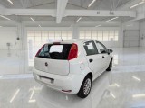  Fiat  Punto FIAT  / 2011 / 5P / BERLINA VAN 1.3 MJET 95CV 4POSTI(N1)SeS E6 #2