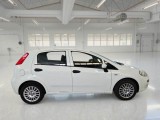  Fiat  Punto FIAT  / 2011 / 5P / BERLINA VAN 1.3 MJET 95CV 4POSTI(N1)SeS E6 #7