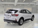  Ford  Kuga FORD  / 2019 / 5P / SUV 2.5 BENZINA PHEV 225CV 2WD TIT.BUS. AUT #2
