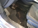  Audi  A3 AUDI  / 2020 / 5P / BERLINA 35 TDI S TRONIC BUSINESS S.BACK #137