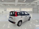  Fiat  Panda FIAT  / 2011 / 5P / BERLINA 1.0 FIREFLY 70CV SeS HYBRID #2