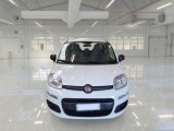  Fiat  Panda FIAT  / 2011 / 5P / BERLINA 1.0 FIREFLY 70CV SeS HYBRID #6