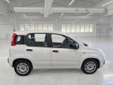  Fiat  Panda FIAT  / 2011 / 5P / BERLINA 1.0 FIREFLY 70CV SeS HYBRID #7
