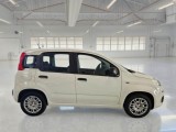  Fiat  Panda FIAT  / 2011 / 5P / BERLINA 1.0 FIREFLY 70CV SeS HYBRID #7