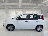 Fiat  Panda FIAT  / 2011 / 5P / BERLINA 1.0 FIREFLY 70CV SeS HYBRID #8