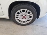  Fiat  Panda FIAT  / 2011 / 5P / BERLINA 1.0 FIREFLY 70CV SeS HYBRID #17