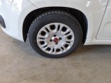  Fiat  Panda FIAT  / 2011 / 5P / BERLINA 1.0 FIREFLY 70CV SeS HYBRID #20