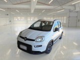  Fiat  Panda FIAT  / 2011 / 5P / BERLINA 1.0 FIREFLY 70CV SeS HYBRID CITY LIFE 