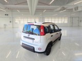  Fiat  Panda FIAT  / 2011 / 5P / BERLINA 1.0 FIREFLY 70CV SeS HYBRID CITY LIFE #2