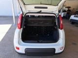  Fiat  Panda FIAT  / 2011 / 5P / BERLINA 1.0 FIREFLY 70CV SeS HYBRID CITY LIFE #5