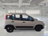  Fiat  Panda FIAT  / 2011 / 5P / BERLINA 1.0 FIREFLY 70CV SeS HYBRID CITY LIFE #7