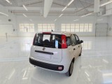 Fiat  Panda FIAT  / 2011 / 5P / BERLINA 1.0 FIREFLY 70CV SeS HYBRID #2