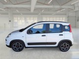  Fiat  Panda FIAT  / 2011 / 5P / BERLINA 1.0 FIREFLY 70CV SeS HYBRID CITY LIFE #8