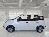  Fiat  Panda FIAT  / 2011 / 5P / BERLINA 1.0 FIREFLY 70CV SeS HYBRID #8