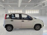  Fiat  Panda FIAT  / 2011 / 5P / BERLINA 1.0 FIREFLY 70CV SeS HYBRID #7