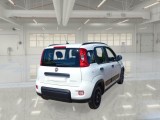  Fiat  Panda FIAT  / 2011 / 5P / BERLINA 1.0 70CV SeS HYBRID CITY LIFE #2