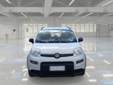  Fiat  Panda FIAT  / 2011 / 5P / BERLINA 1.0 70CV SeS HYBRID CITY LIFE #6