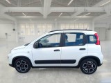  Fiat  Panda FIAT  / 2011 / 5P / BERLINA 1.0 70CV SeS HYBRID CITY LIFE #8