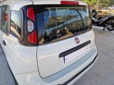  Fiat  Panda FIAT  / 2011 / 5P / BERLINA 1.0 70CV SeS HYBRID CITY CROSS #65