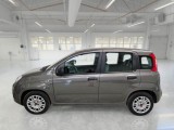  Fiat  Panda FIAT  / 2011 / 5P / BERLINA 1.0 FIREFLY 70CV SeS HYBRID #8