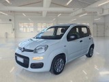  Fiat  Panda FIAT  / 2011 / 5P / BERLINA 1.0 70CV SeS HYBRID 