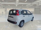  Fiat  Panda FIAT  / 2011 / 5P / BERLINA 1.0 70CV SeS HYBRID #2