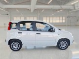  Fiat  Panda FIAT  / 2011 / 5P / BERLINA 1.0 70CV SeS HYBRID #7
