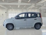  Fiat  Panda FIAT  / 2011 / 5P / BERLINA 1.0 70CV SeS HYBRID #8