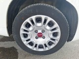  Fiat  Panda FIAT  / 2011 / 5P / BERLINA 1.0 70CV SeS HYBRID #17