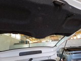  Fiat  Panda FIAT  / 2011 / 5P / BERLINA 1.0 FIREFLY 70CV SeS HYBRID #99