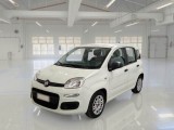  Fiat  Panda FIAT  / 2011 / 5P / BERLINA 1.0 FIREFLY 70CV SeS HYBRID 